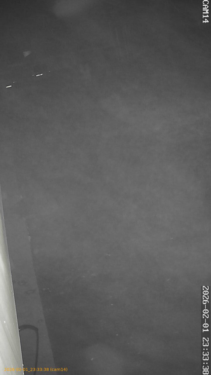 thumbnail_20260201233338