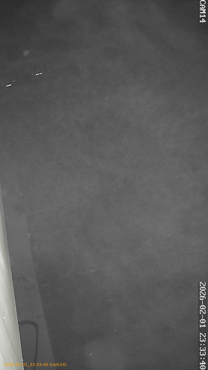 thumbnail_20260201233340