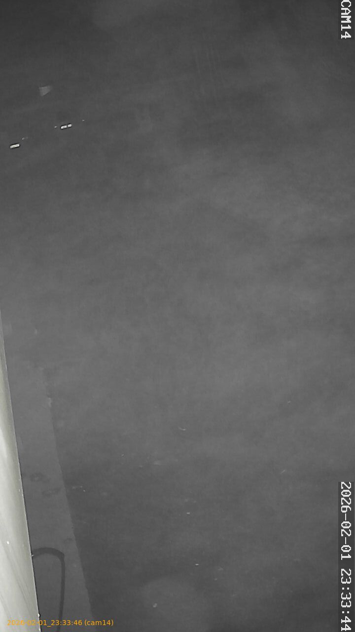 thumbnail_20260201233345