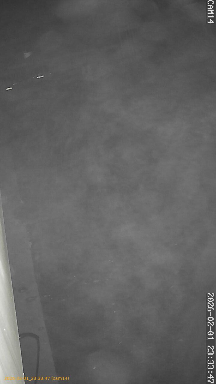 thumbnail_20260201233347