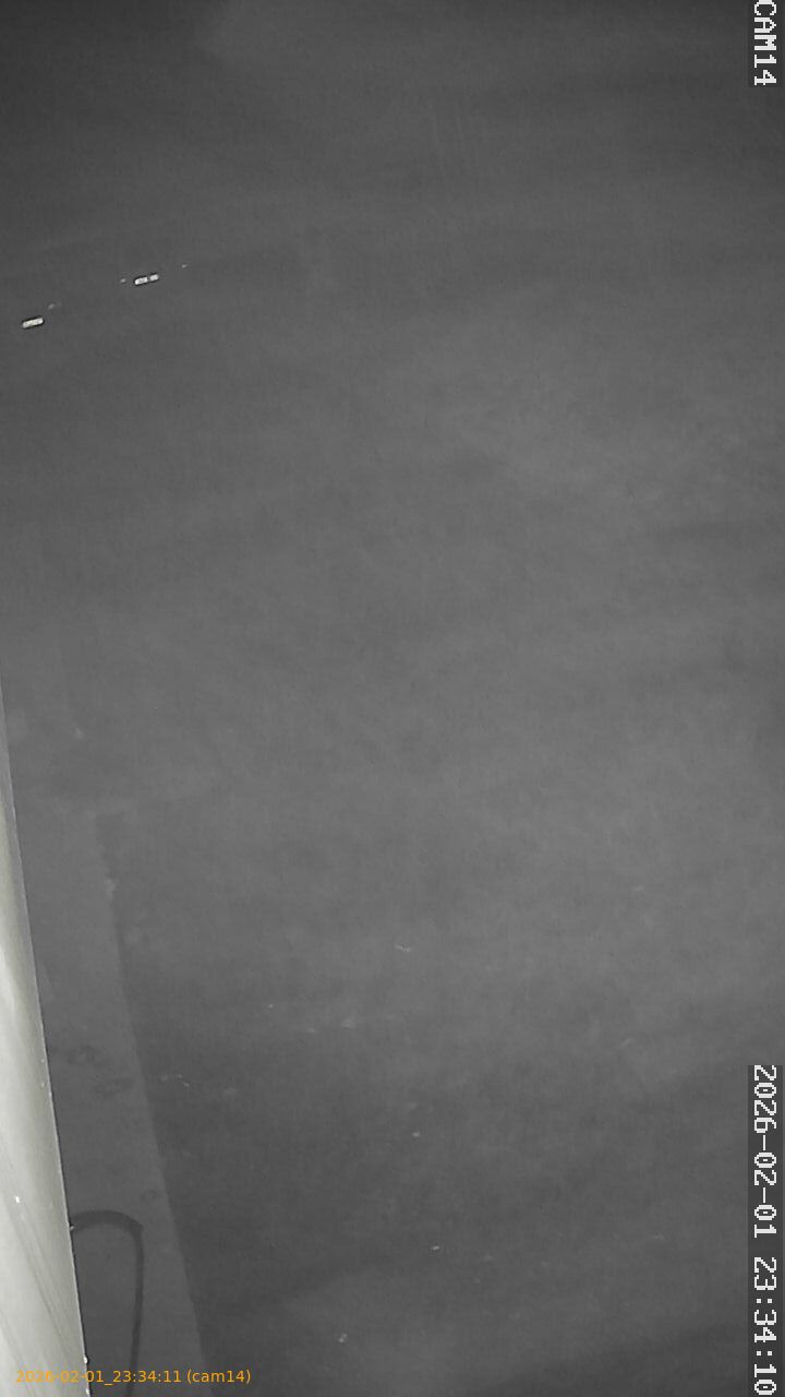 thumbnail_20260201233411