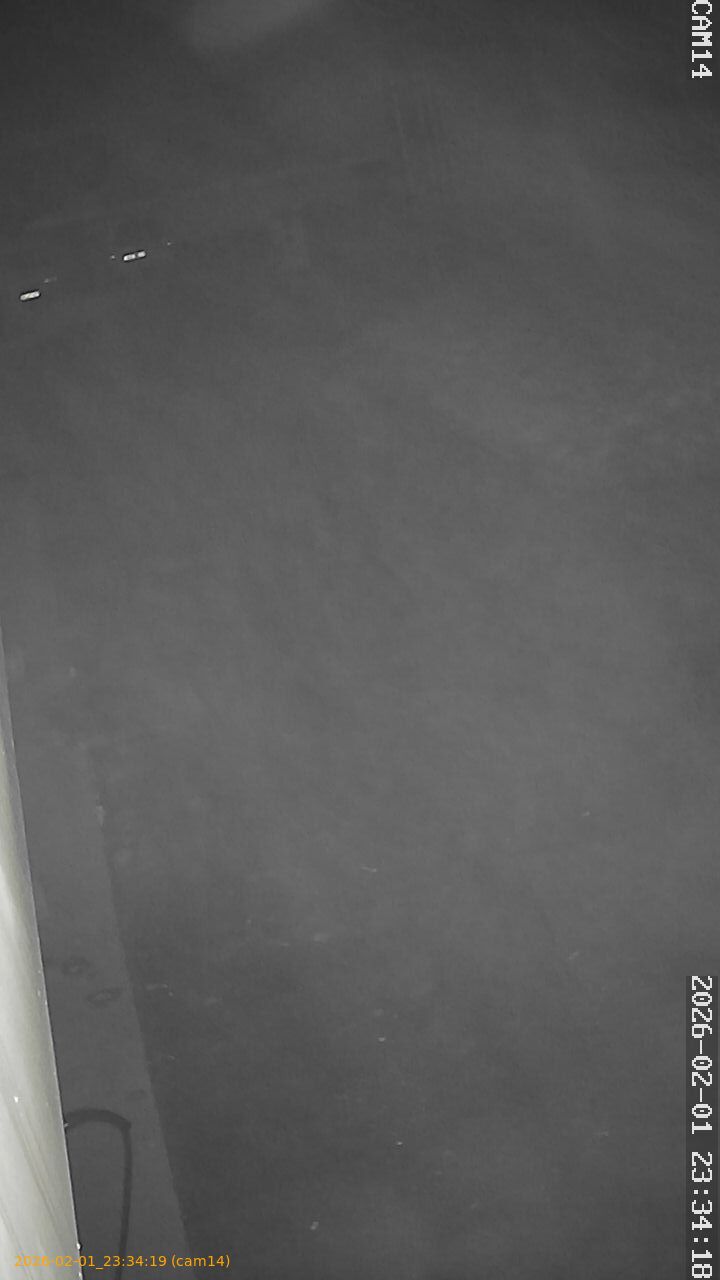 thumbnail_20260201233419