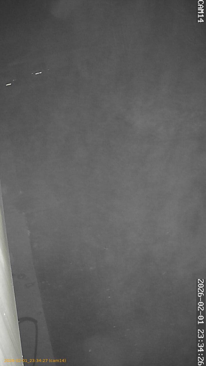 thumbnail_20260201233427