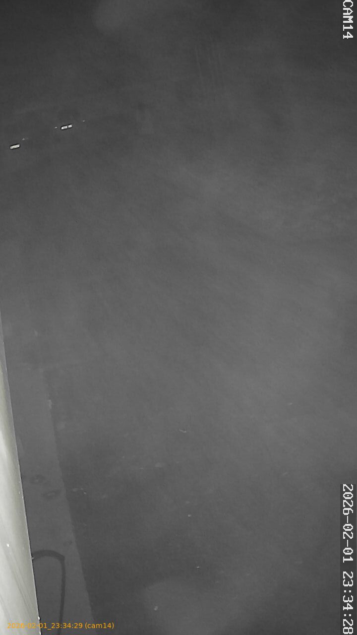 thumbnail_20260201233429