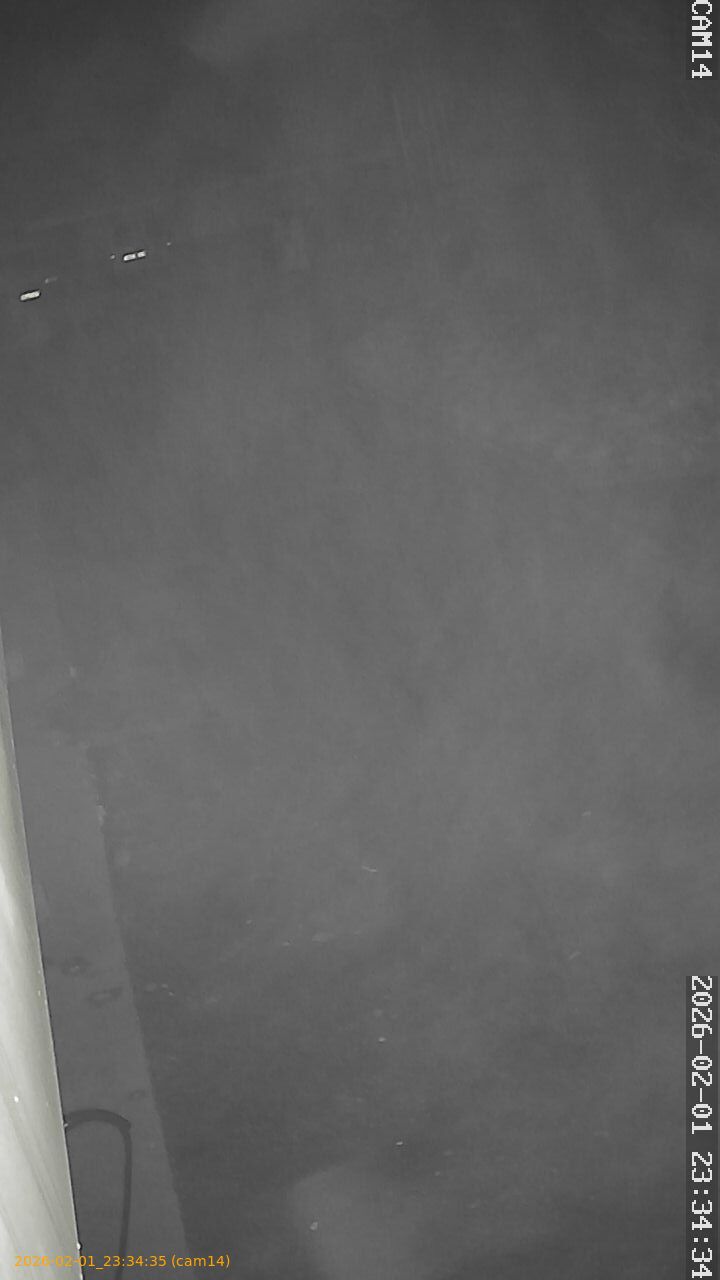 thumbnail_20260201233435