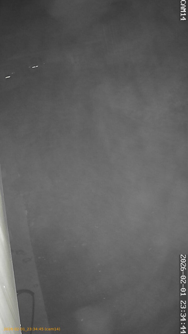 thumbnail_20260201233445