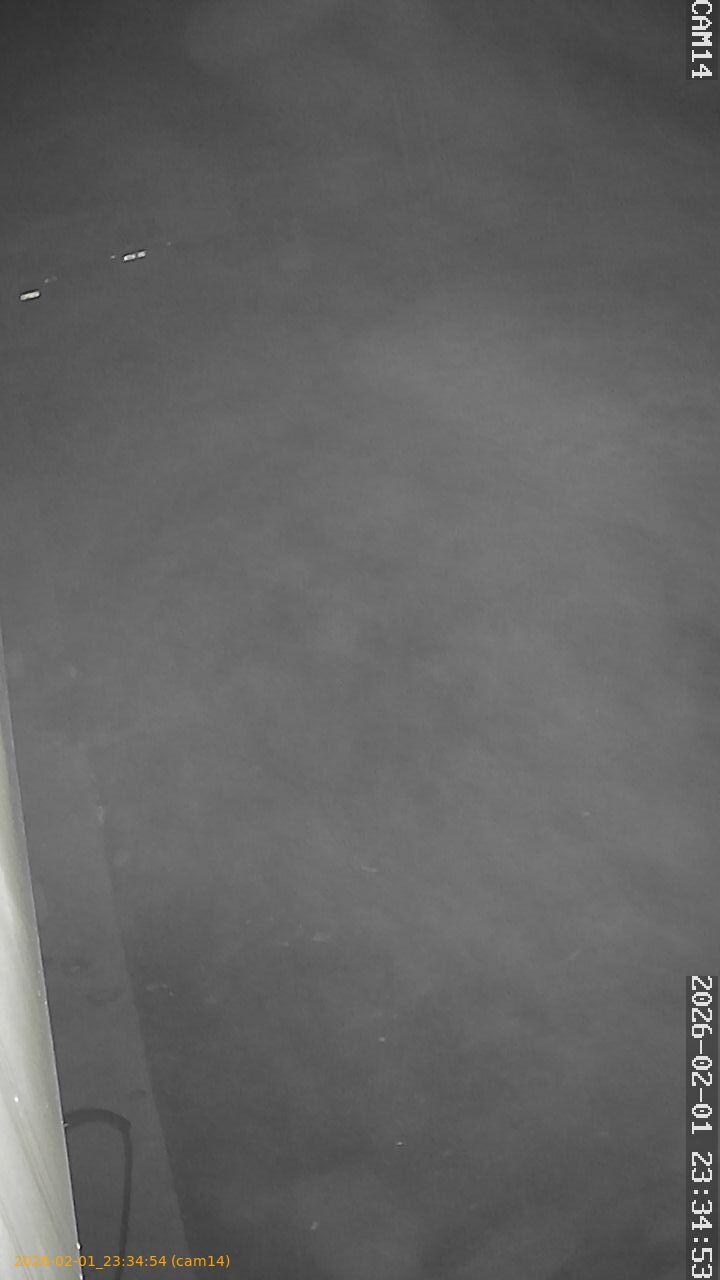 thumbnail_20260201233454