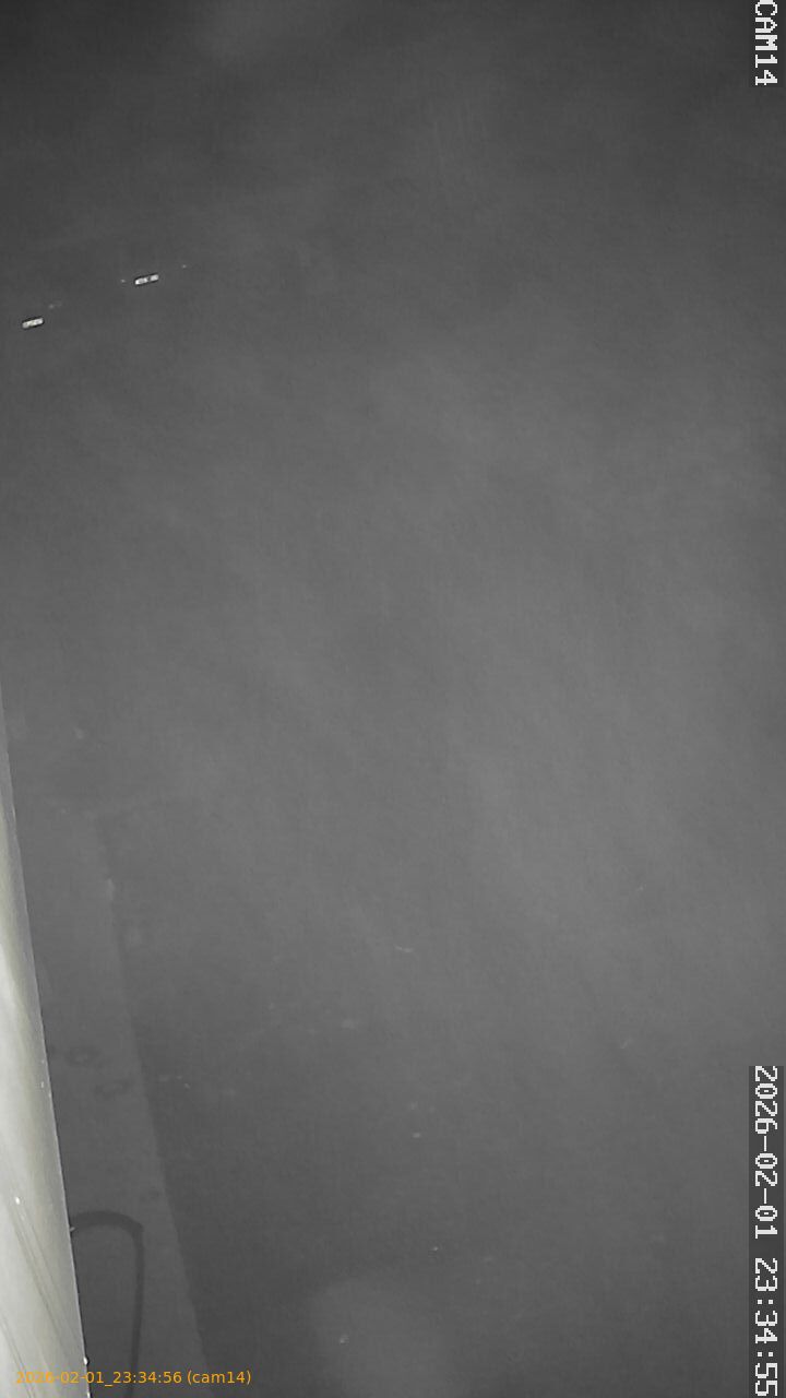 thumbnail_20260201233456