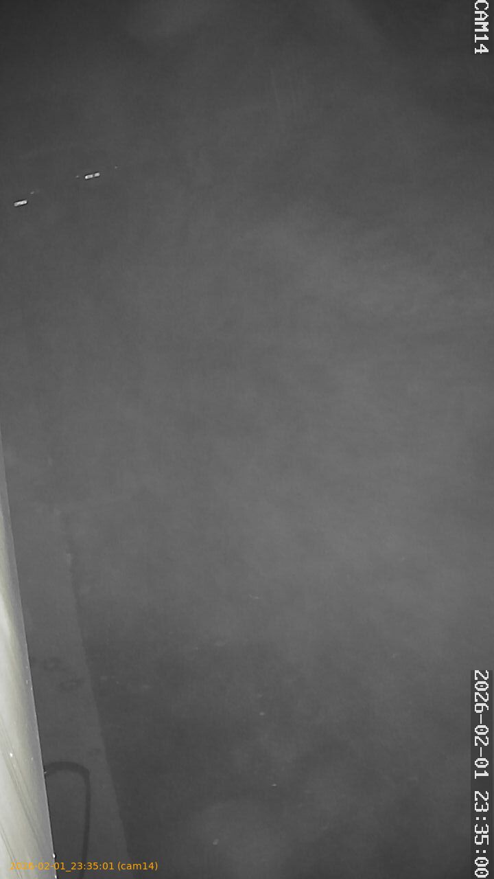 thumbnail_20260201233501