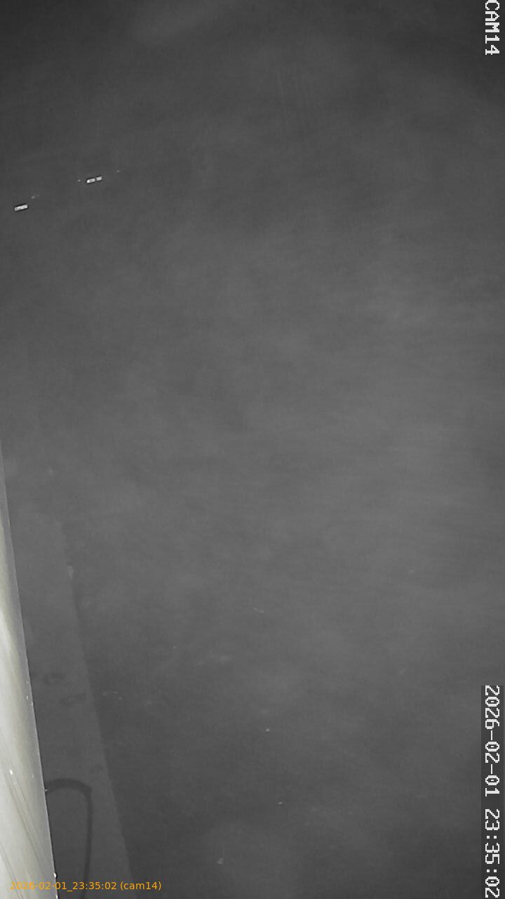 thumbnail_20260201233502