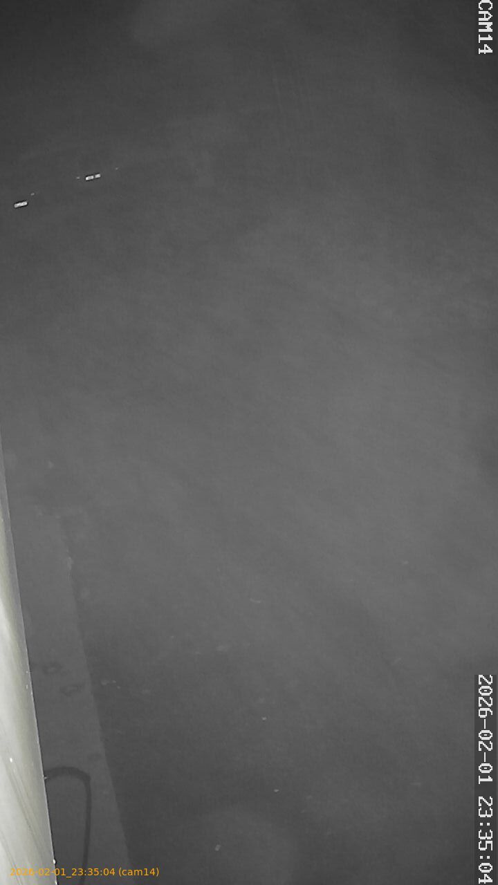 thumbnail_20260201233504