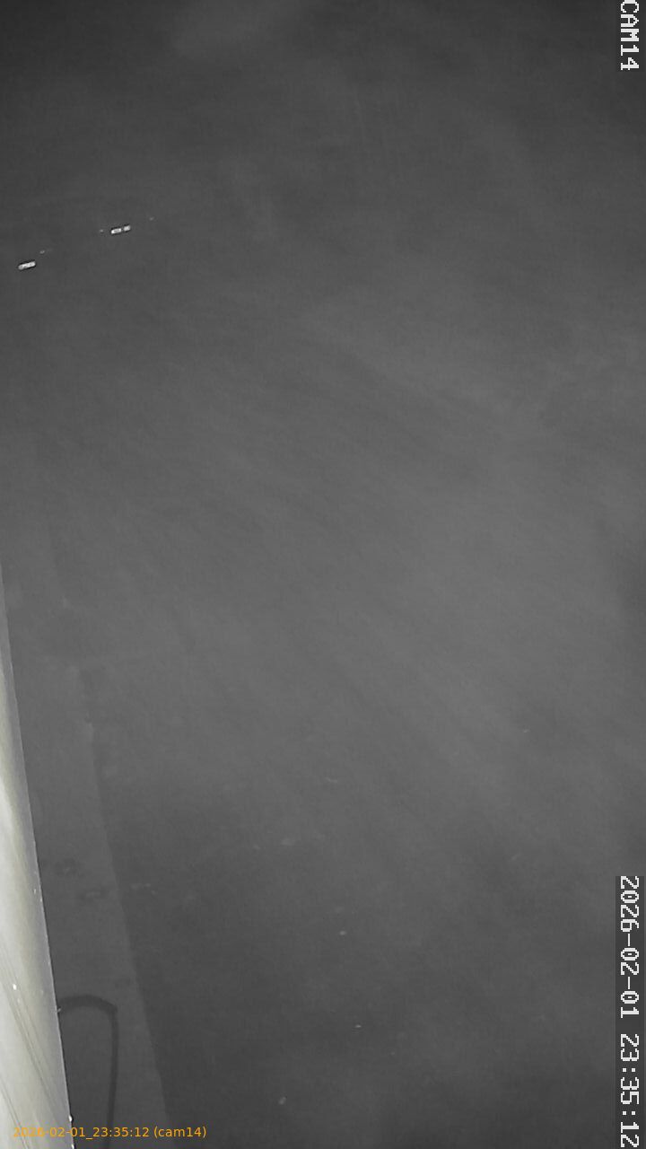 thumbnail_20260201233512