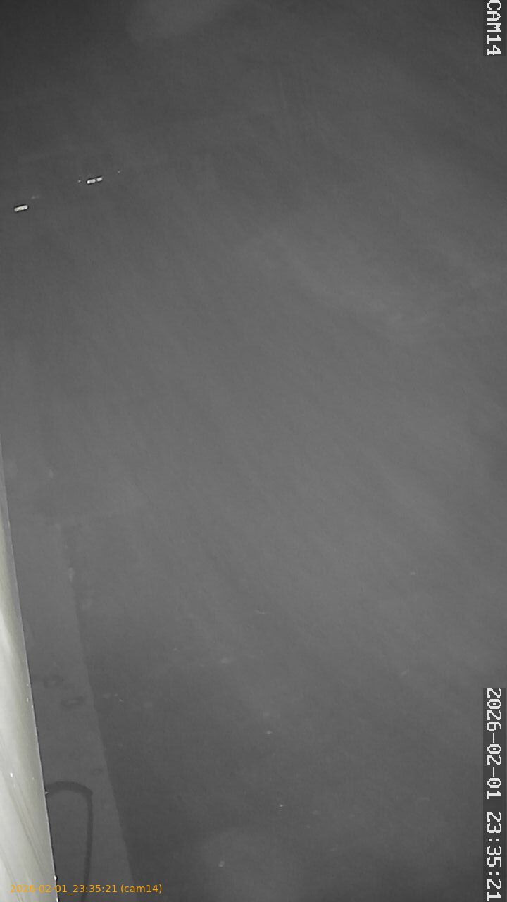 thumbnail_20260201233521