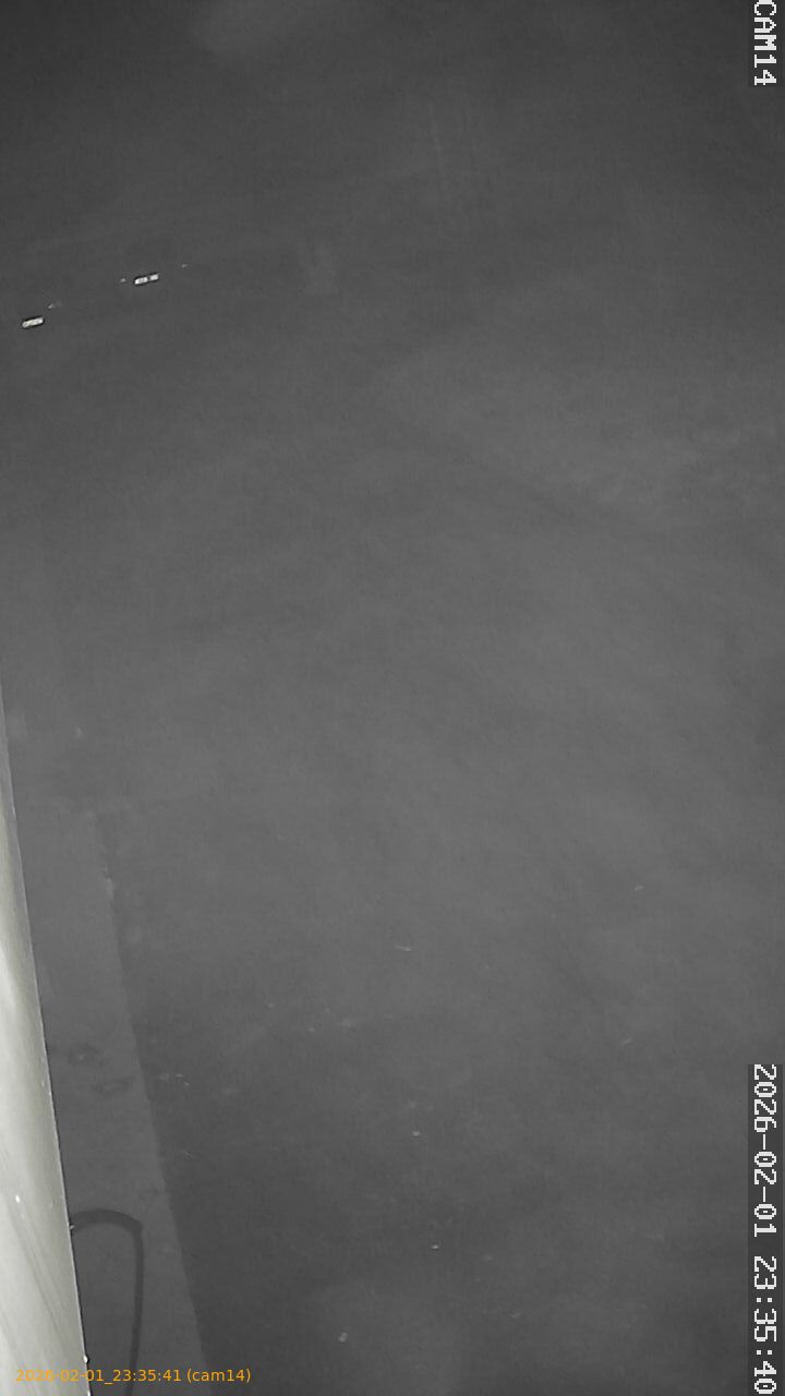 thumbnail_20260201233540