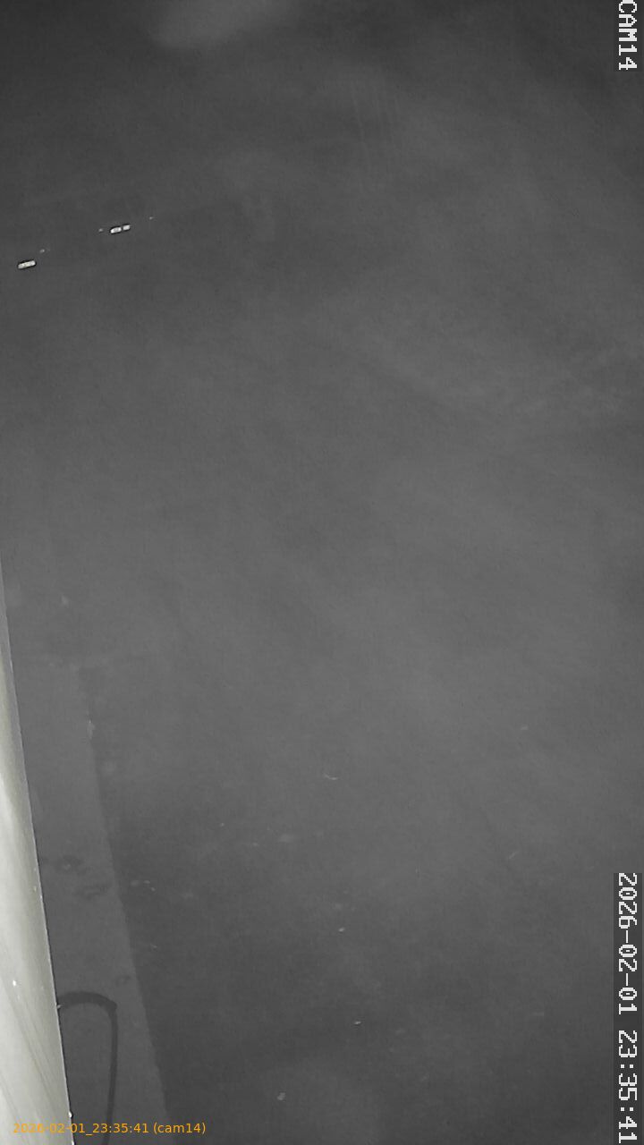 thumbnail_20260201233541