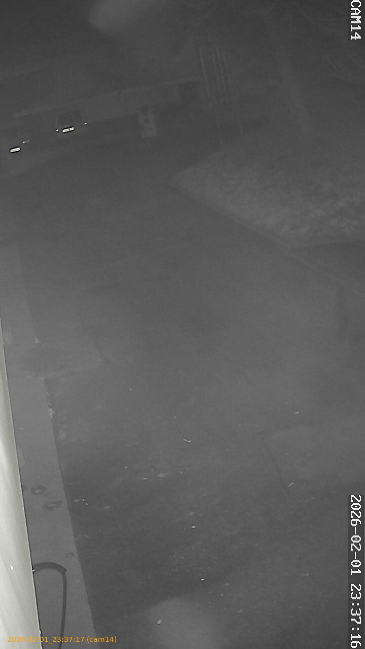 thumbnail_20260201233717