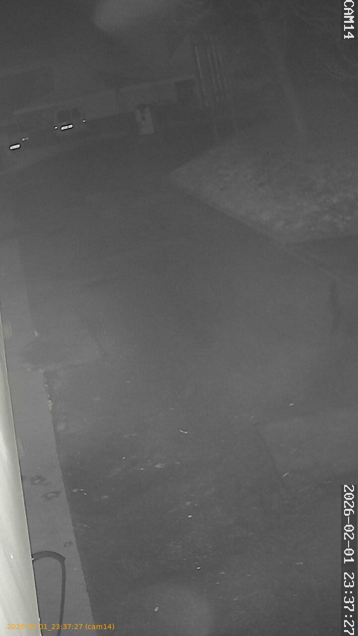 thumbnail_20260201233727