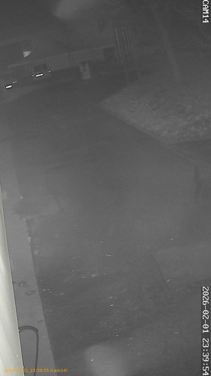 thumbnail_20260201233955