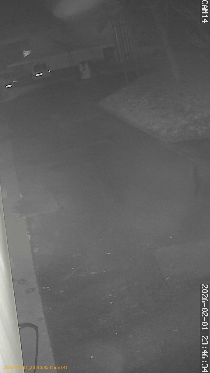 thumbnail_20260201234635