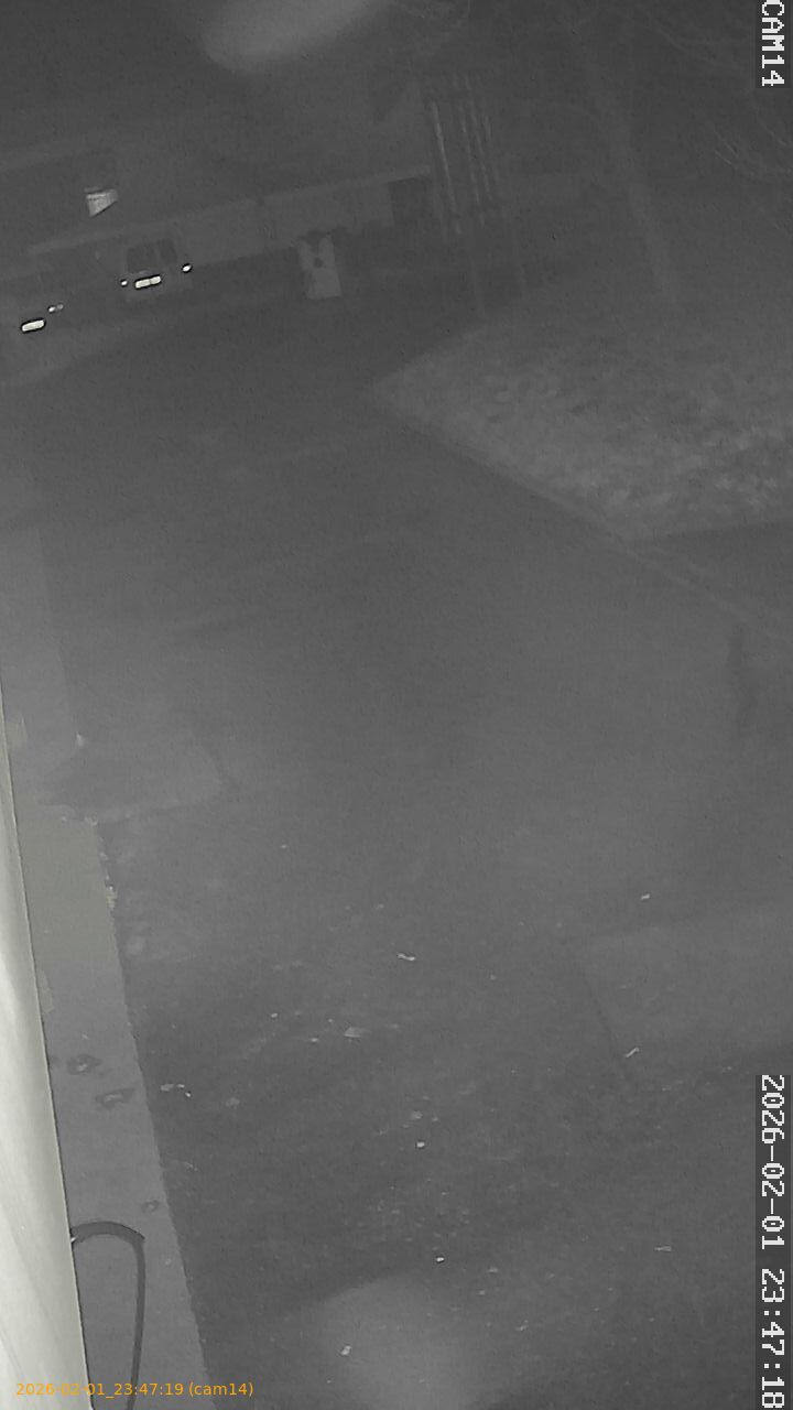 thumbnail_20260201234719