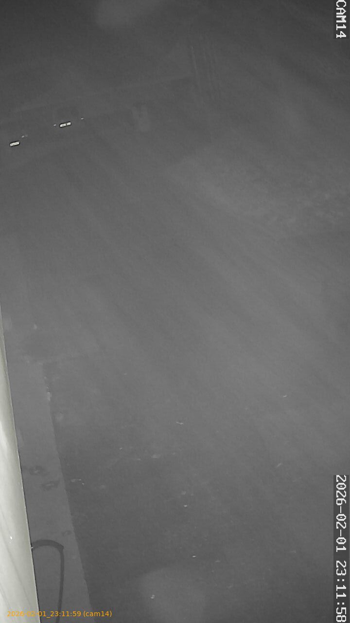 thumbnail_202602012311