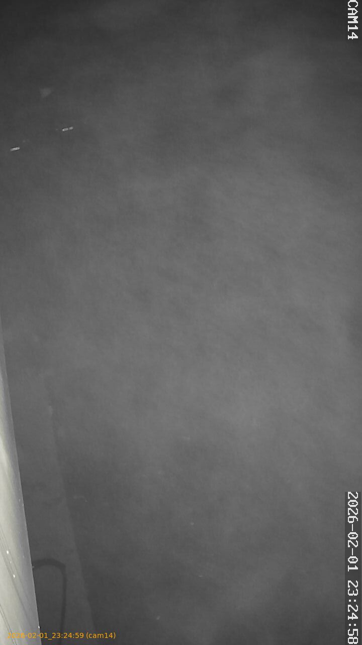 thumbnail_202602012324