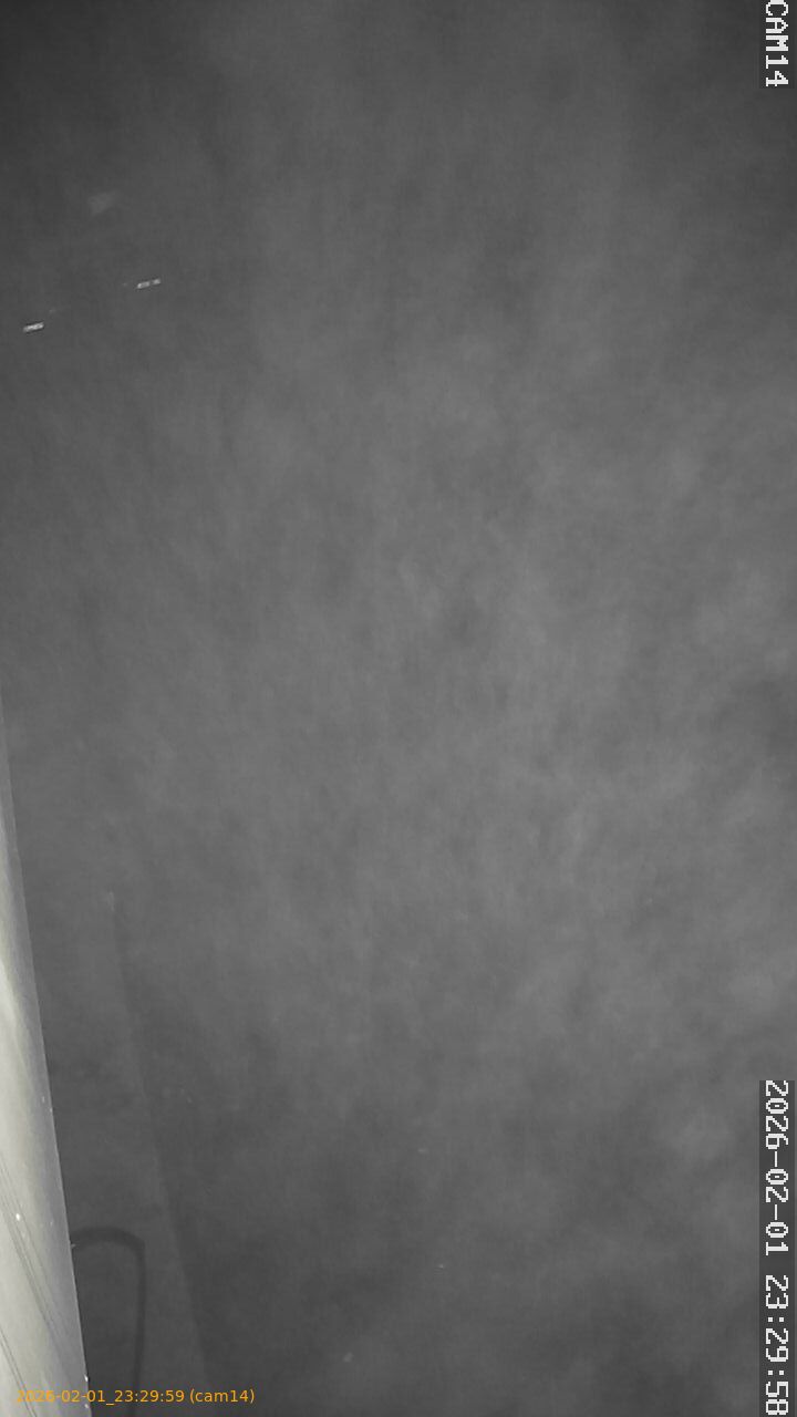 thumbnail_202602012329