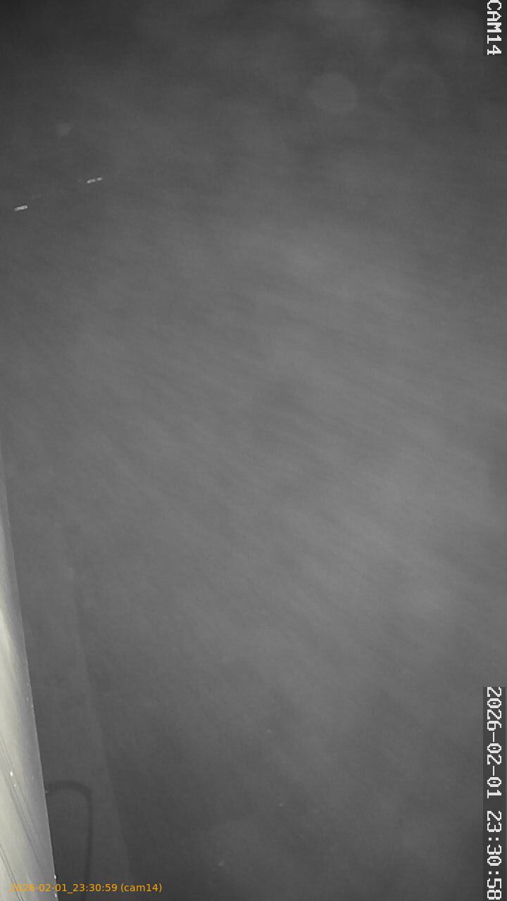 thumbnail_202602012330