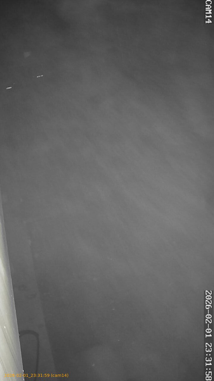 thumbnail_202602012331