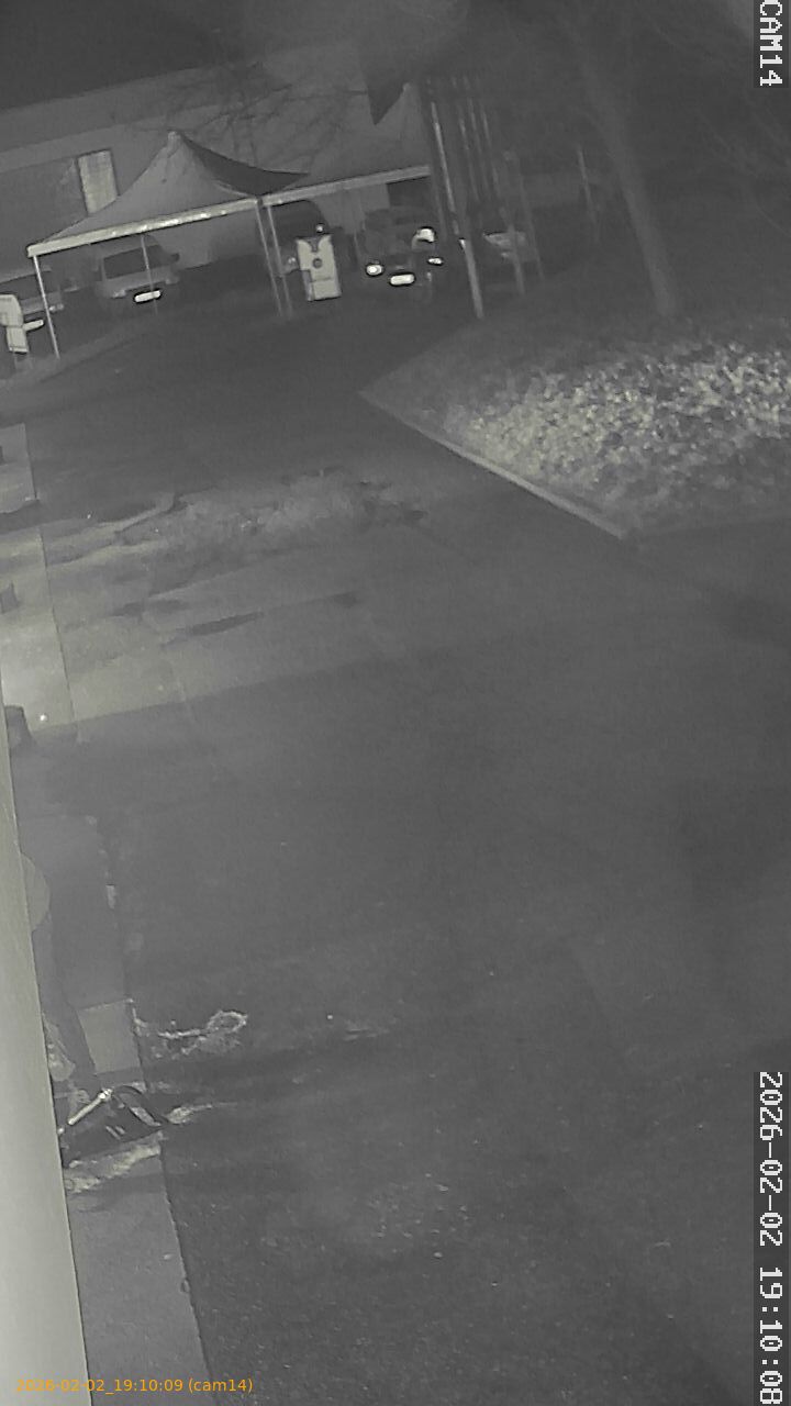 thumbnail_20260202191009