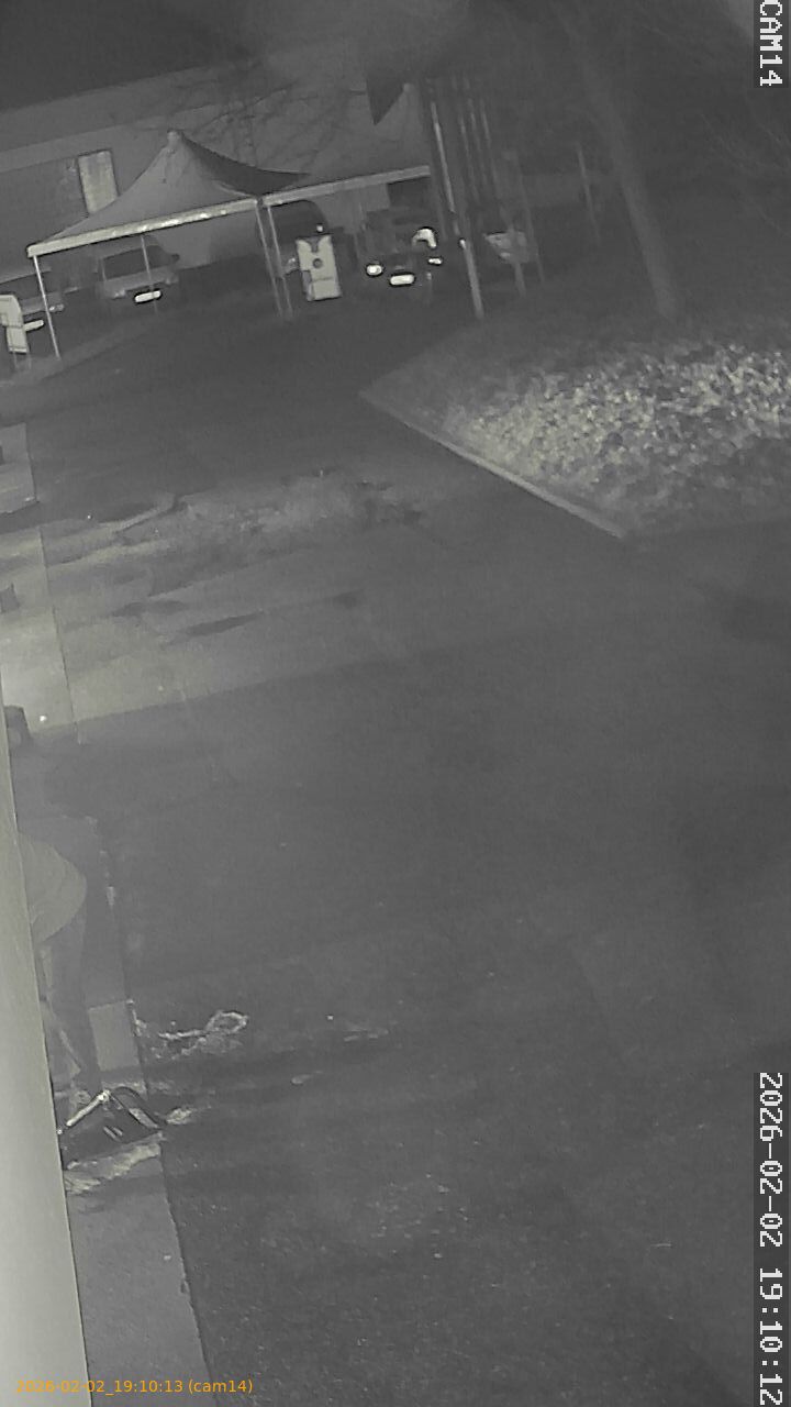 thumbnail_20260202191013