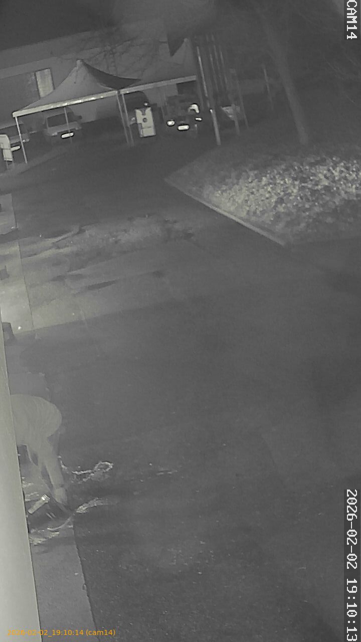 thumbnail_20260202191014