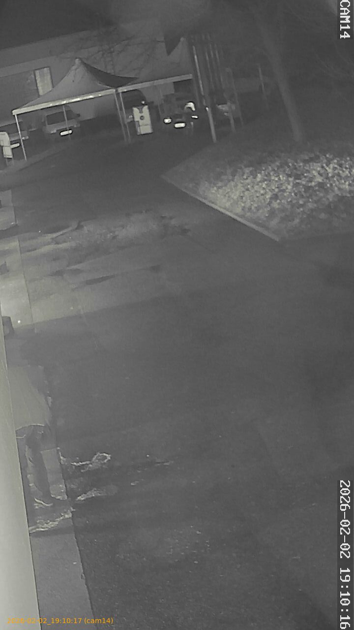 thumbnail_20260202191017