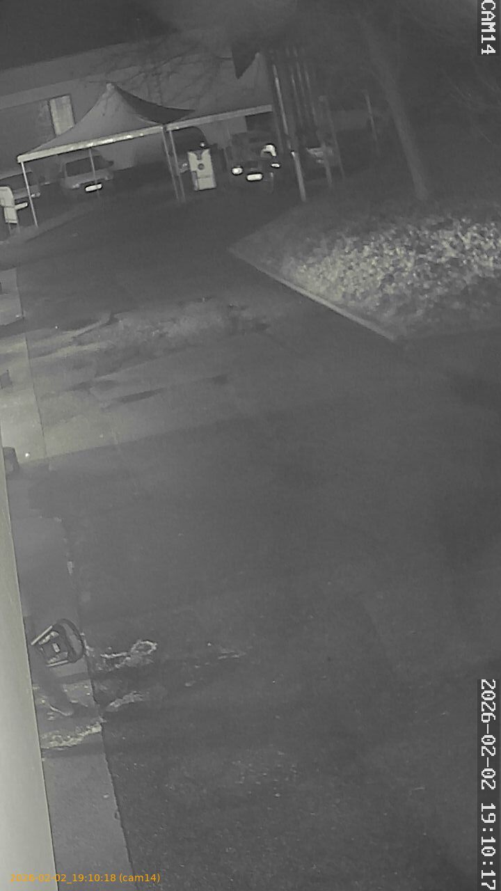 thumbnail_20260202191018