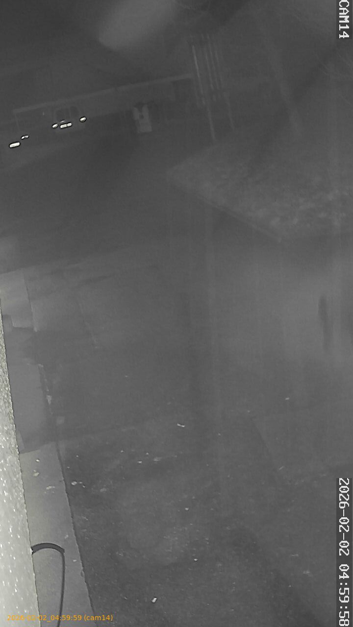 thumbnail_2026020204