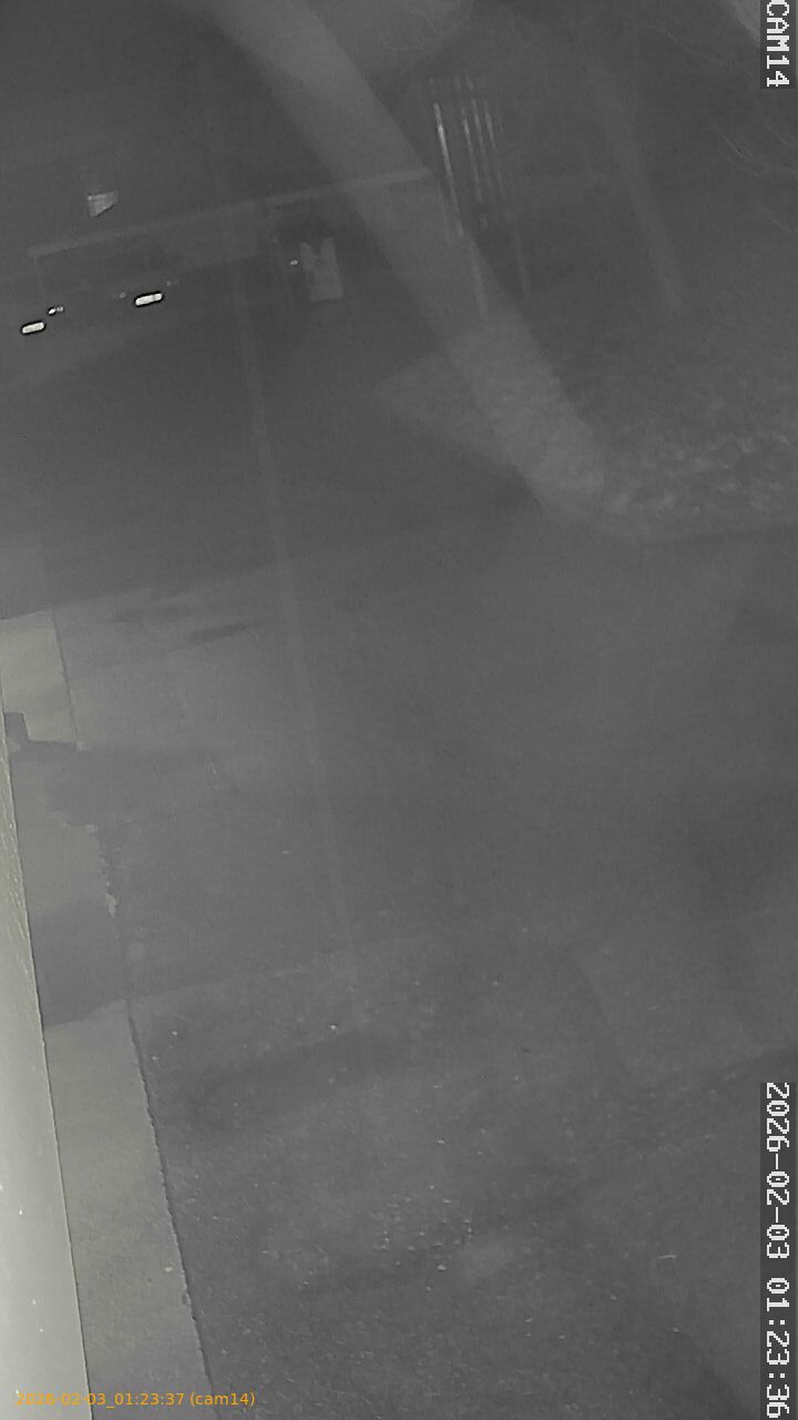 thumbnail_20260203012337