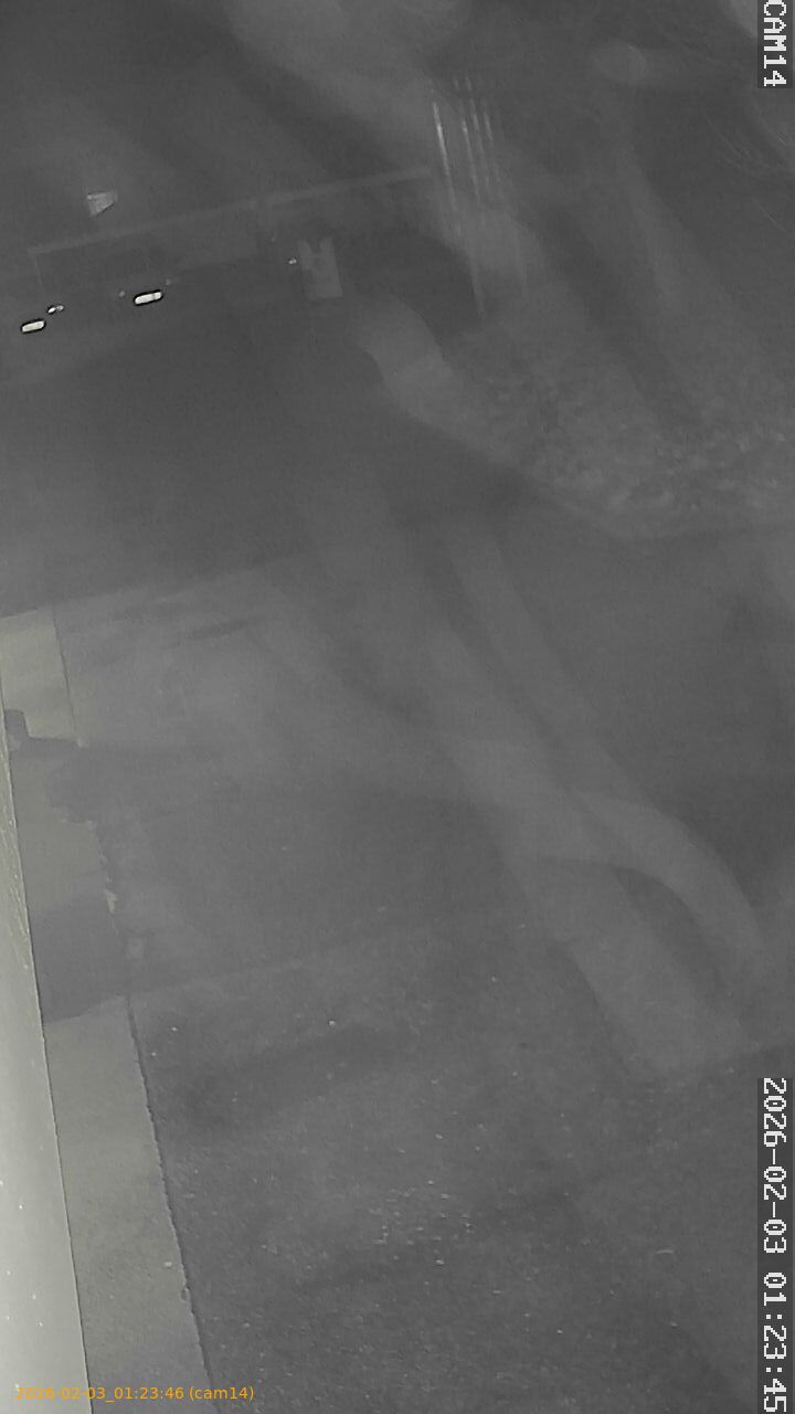 thumbnail_20260203012346