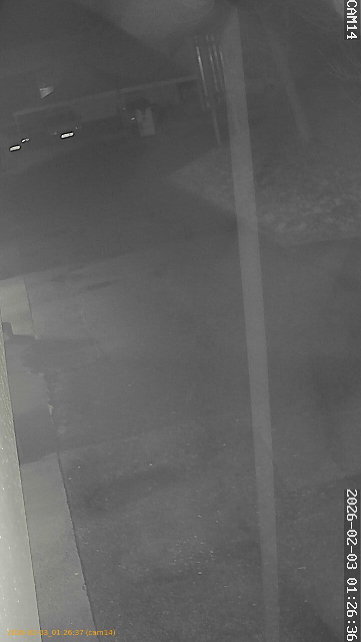 thumbnail_20260203012637