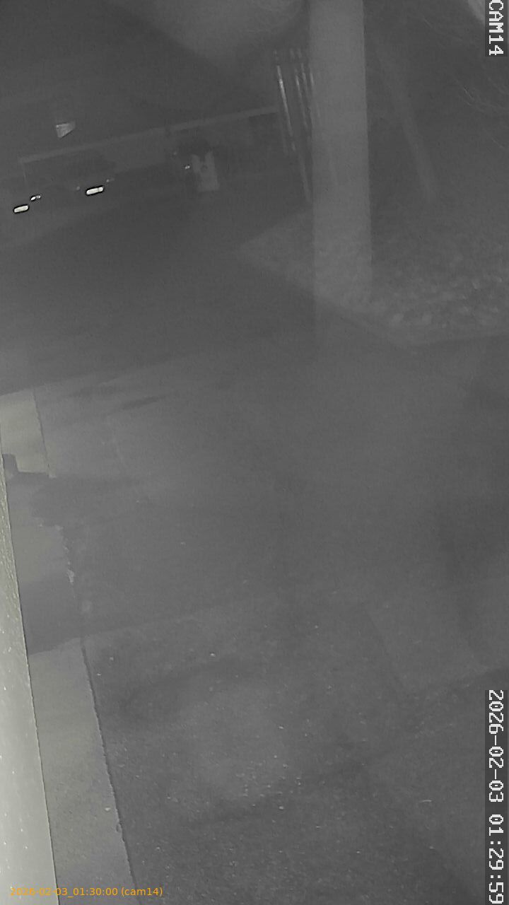 thumbnail_20260203013000