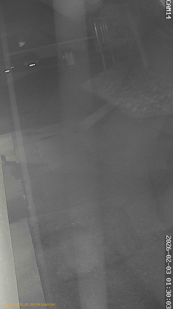 thumbnail_20260203013004