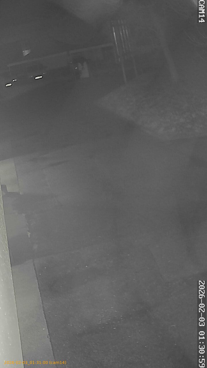 thumbnail_20260203013100