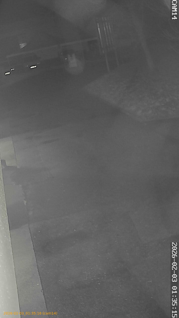 thumbnail_20260203013516