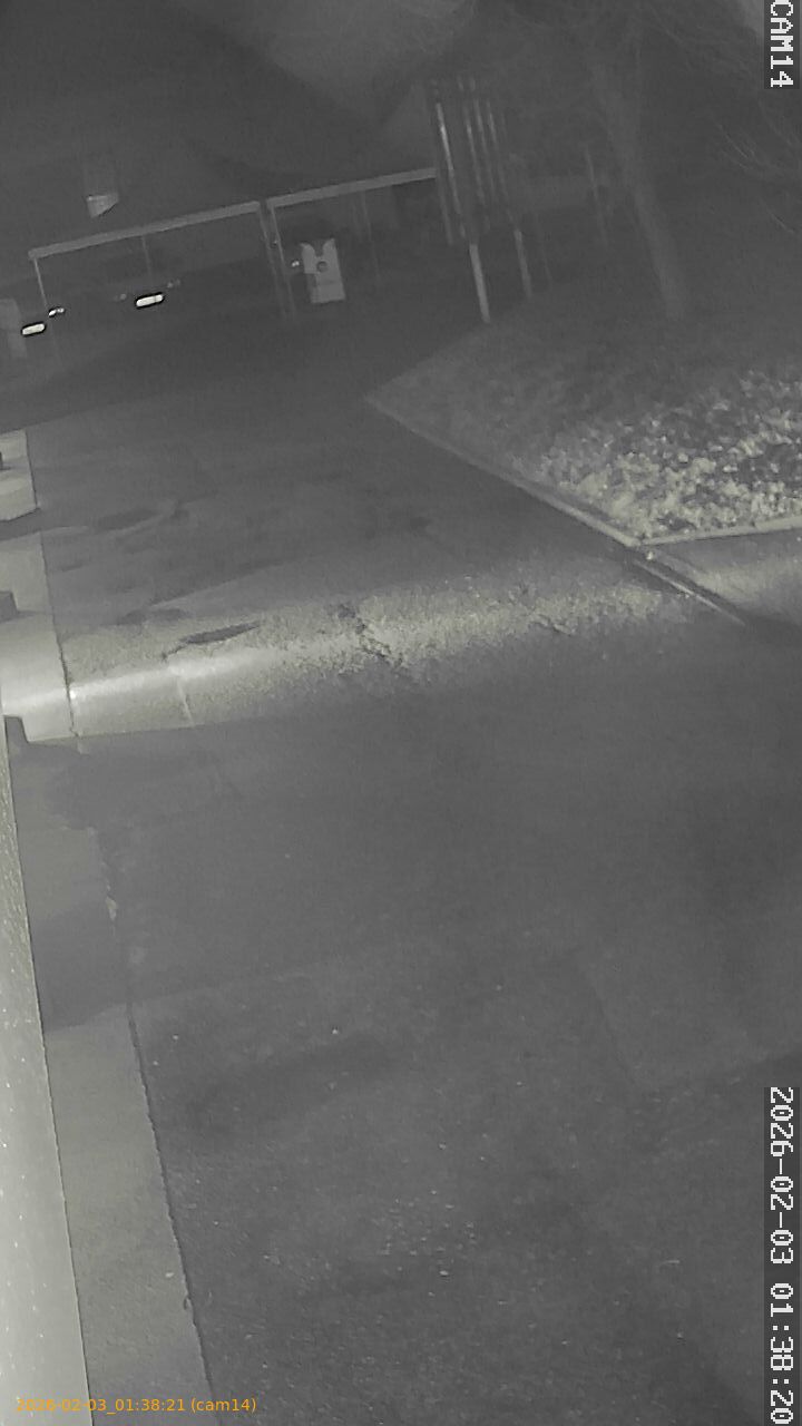 thumbnail_20260203013821