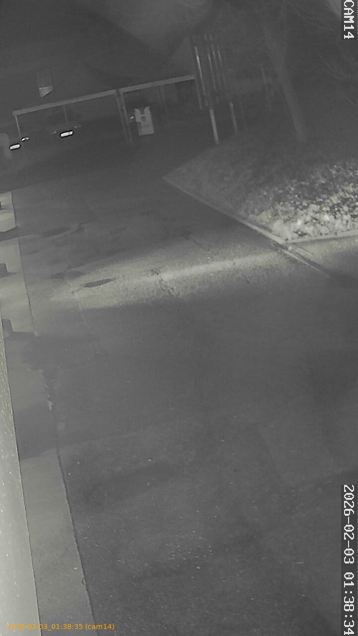 thumbnail_20260203013835