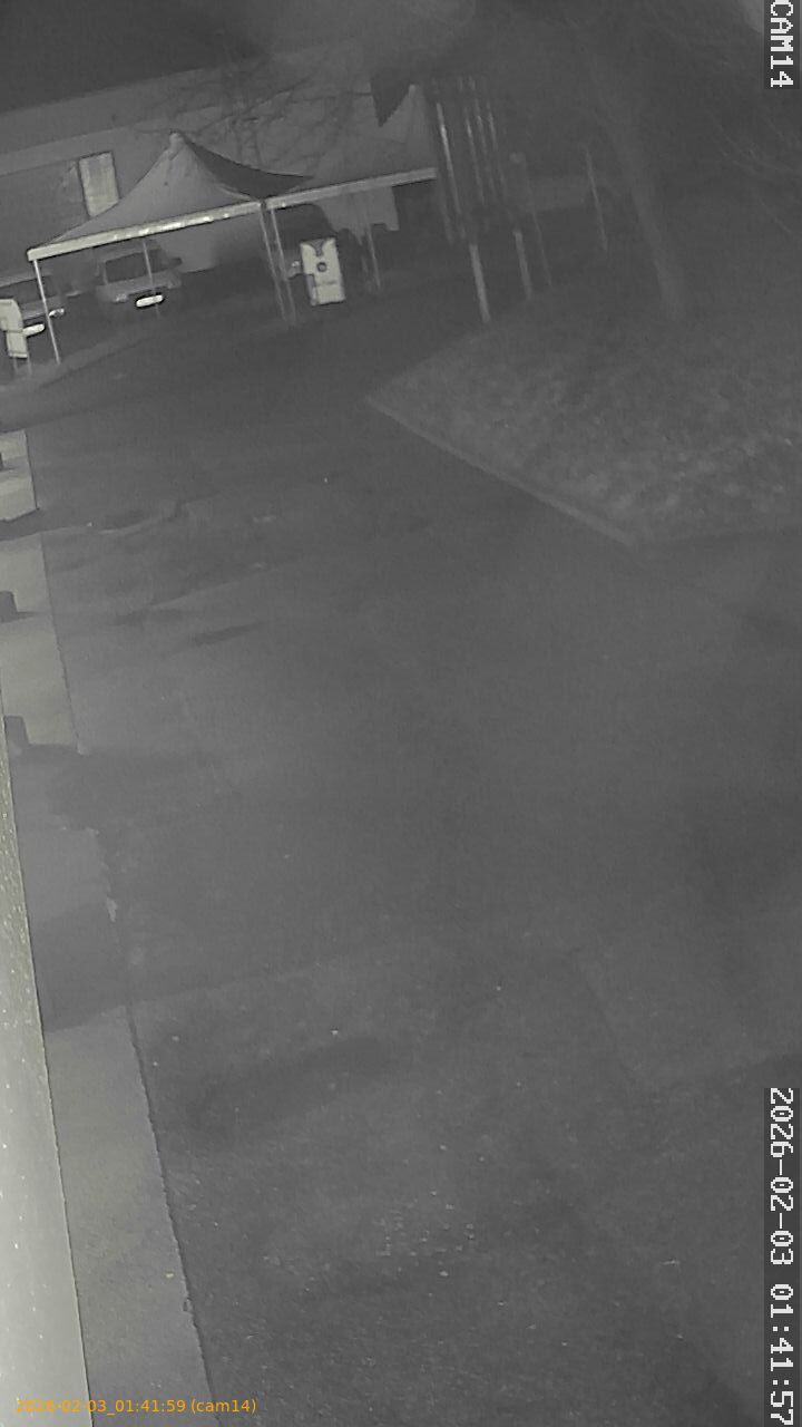 thumbnail_202602030141