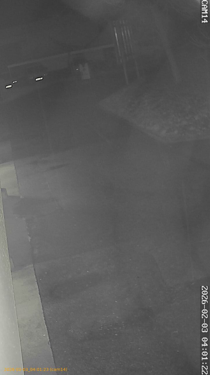 thumbnail_20260203040123