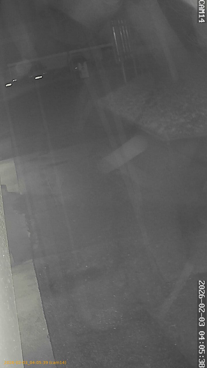 thumbnail_20260203040539