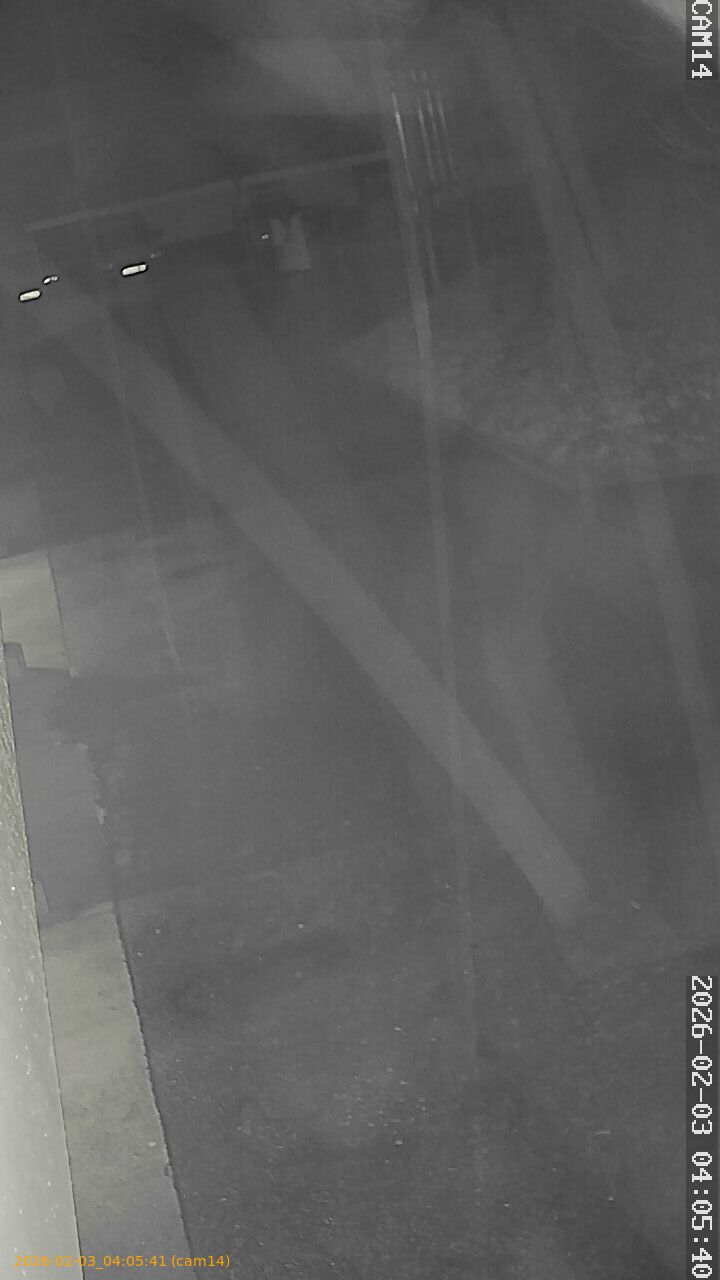 thumbnail_20260203040541