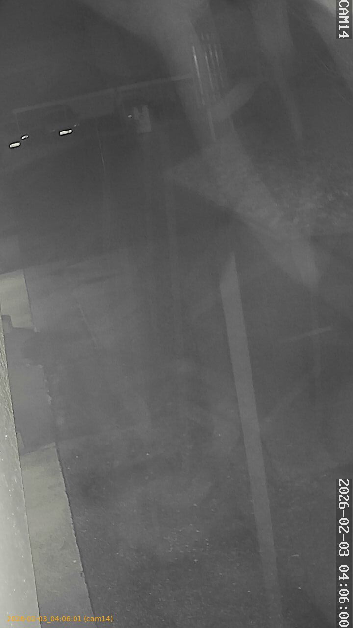 thumbnail_20260203040601