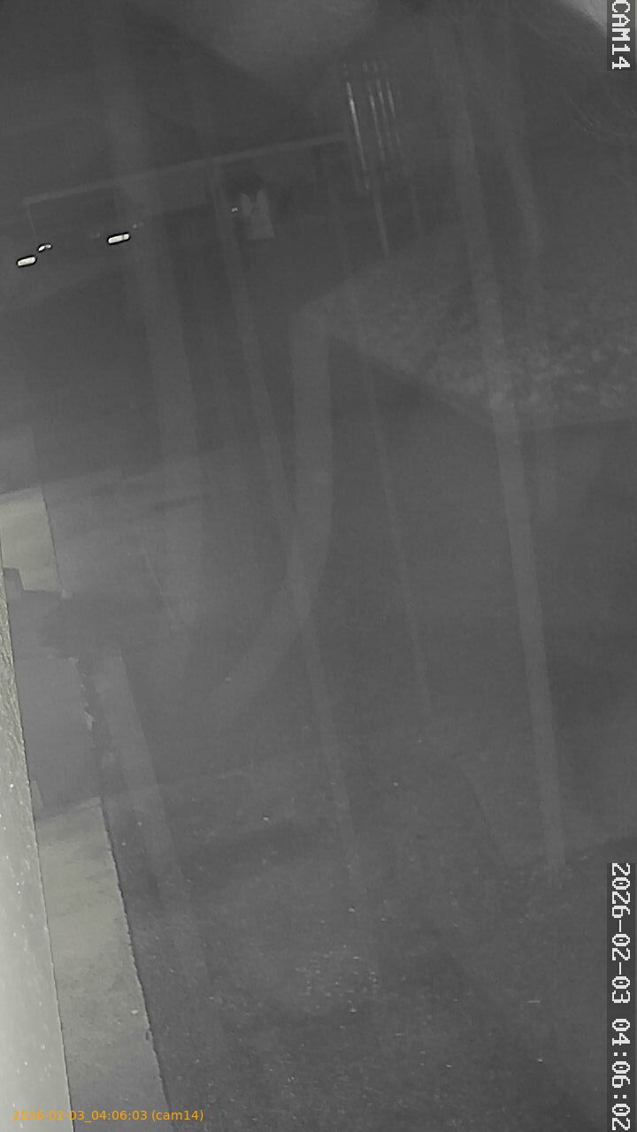 thumbnail_20260203040603